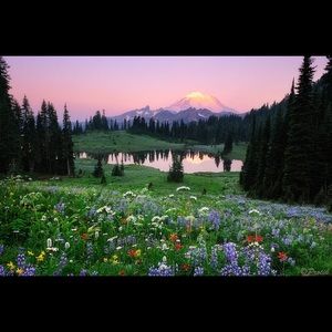 Meet your Posher, Shae